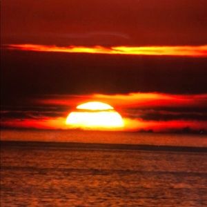 Meet your Posher, Liza